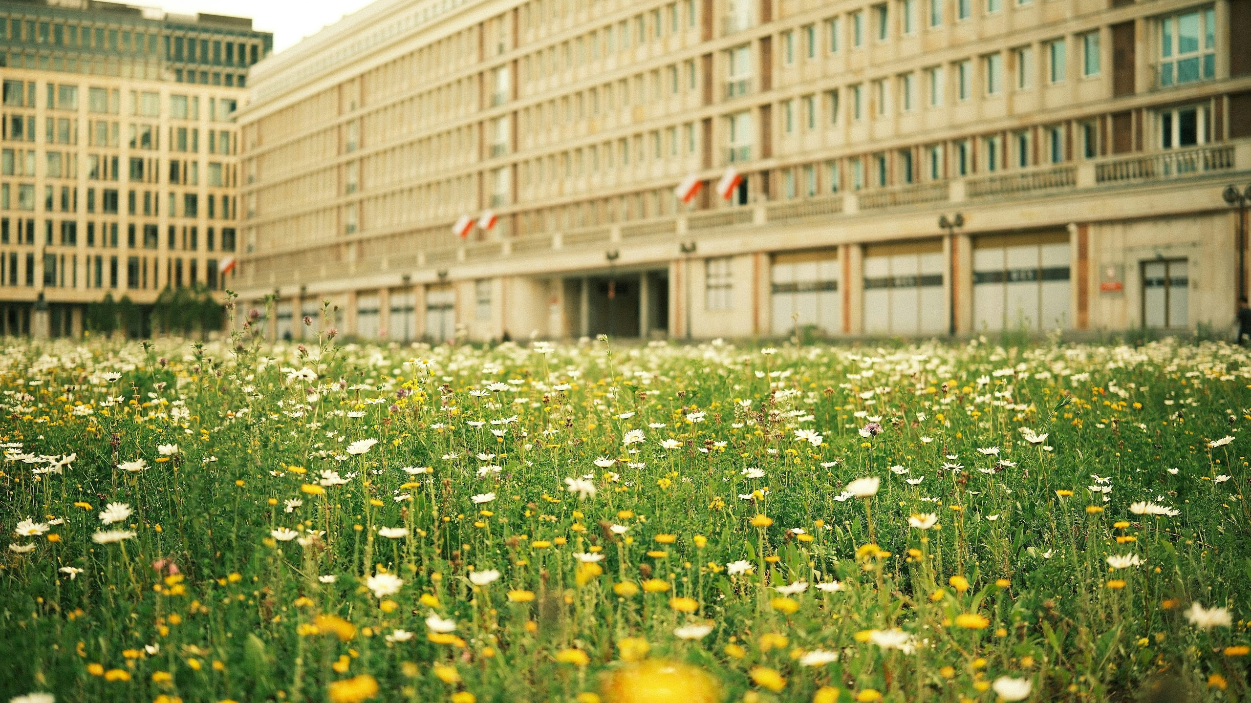 Homepage for Personal Finance credit card extended warranty