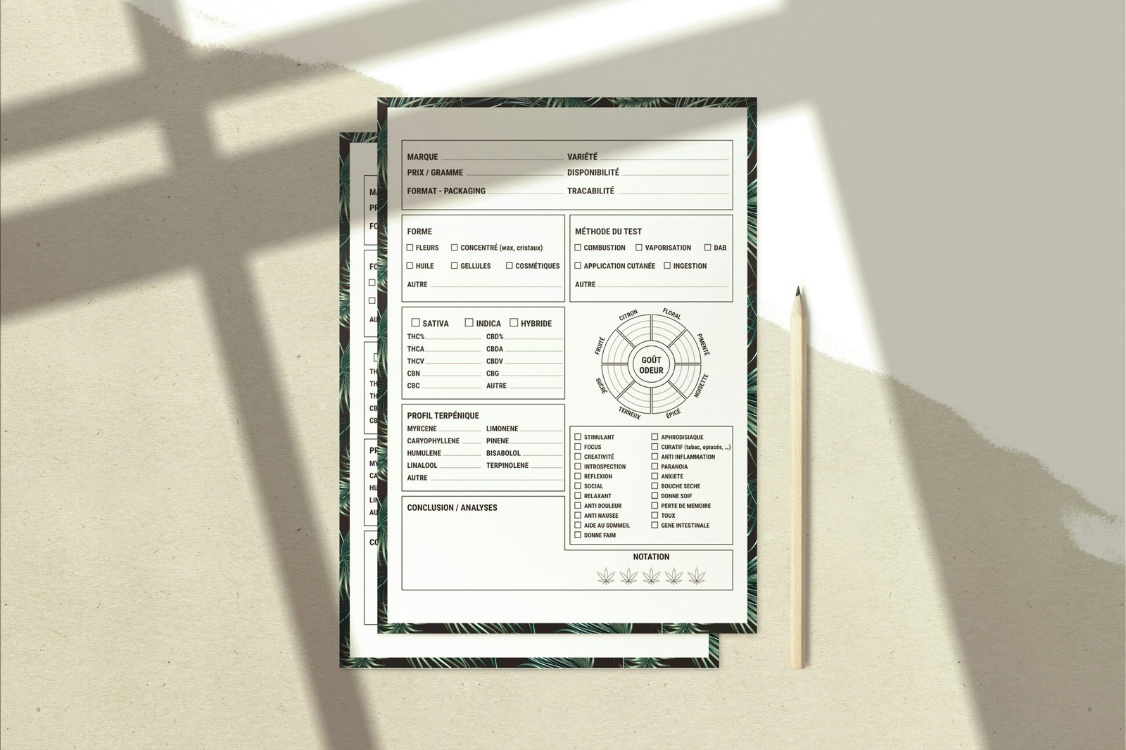 Infographic showing common reasons for claim denials