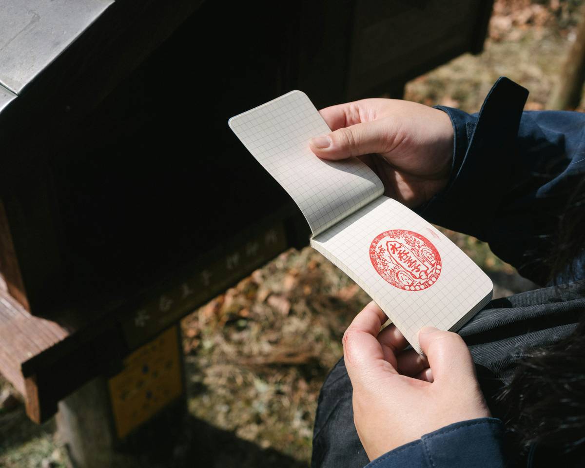 Before-and-after comparison of organized vs disorganized claim documents